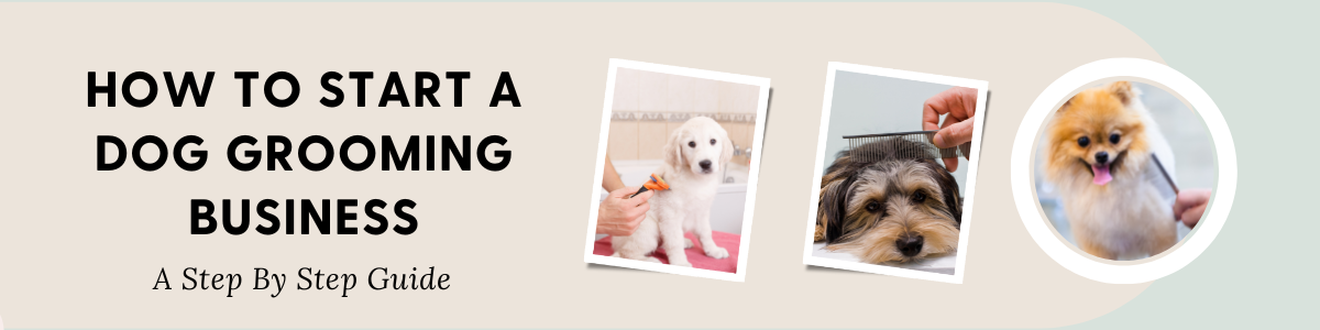 How To Start a Dog Grooming Business - A Step by Step Guide